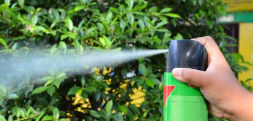 A Guide to using Pesticides Safely in the Home and Garden