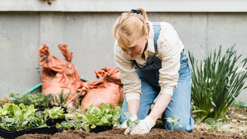 The Therapeutic Bliss of Gardening: Cultivating Nature’s Healing Touch