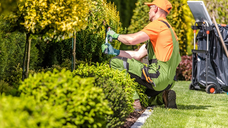 Good Reasons To Call Woodwork Landscaping Services