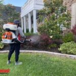 Your Local Mosquito Spraying Companies: Trusted Pest Control Near Me