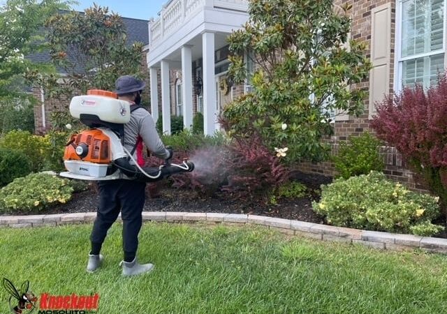 Your Local Mosquito Spraying Companies: Trusted Pest Control Near Me