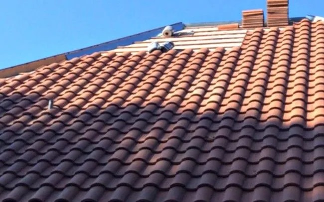 Shield Your Shingles: Expert Tips to Prevent Granule Loss and Extend Roof Life