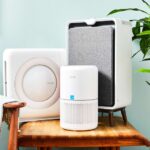 Clear the Air: Powerful Air Purifiers Designed to Combat Mold and Moisture