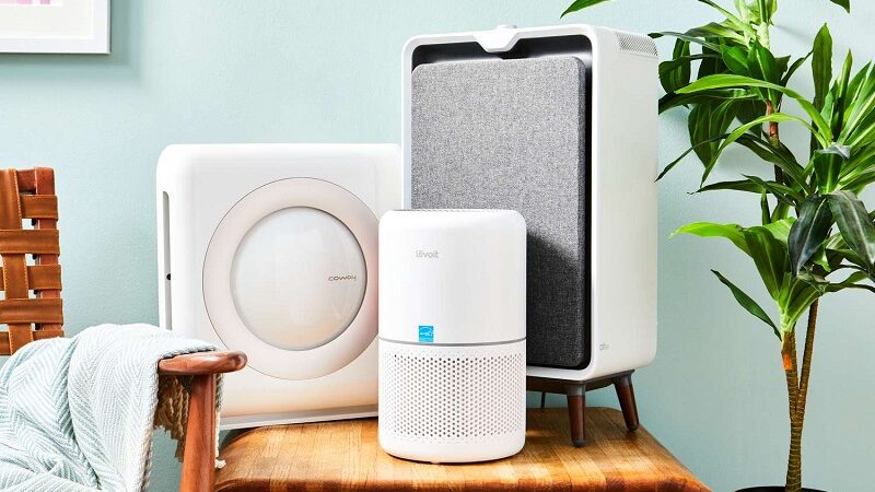 Clear the Air: Powerful Air Purifiers Designed to Combat Mold and Moisture